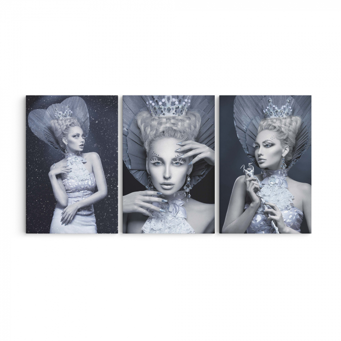 Tablou canvas, Intaglio, Modern, gri, Portret printesa, print pe panza Premium, pentru hol [3]