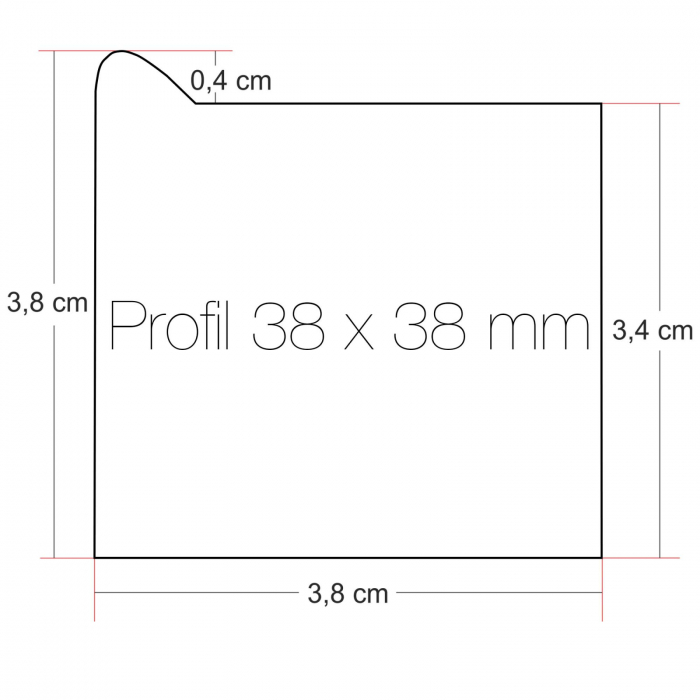 Tablou canvas, Intaglio, Modern, gri, Portret printesa, print pe panza Premium, pentru hol [5]