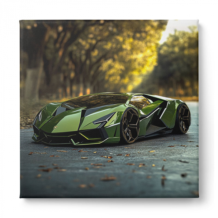 Tablouri canvas Tablouri canvas cu McLaren în ploaie și Lamborghini în pădure [3]