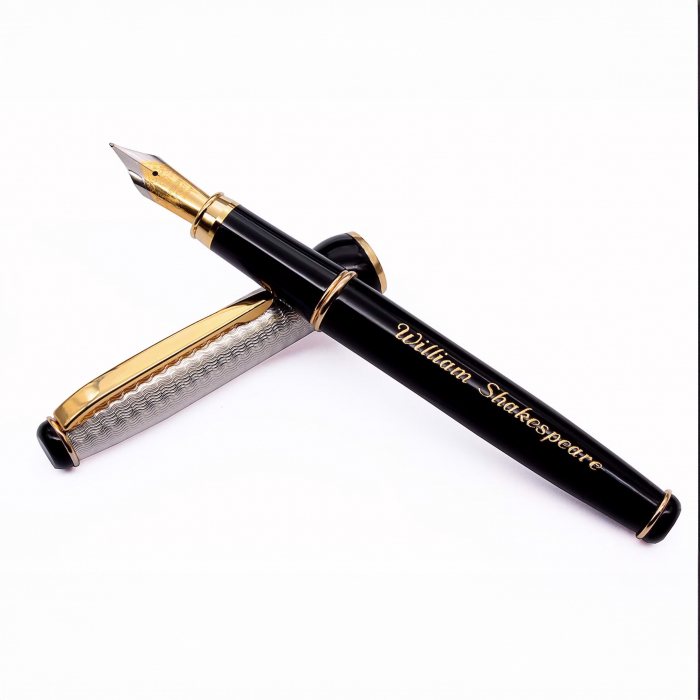Stilou Personalizat Elegant cu Nume – Cadou de Lux pentru Profesioniști [1]