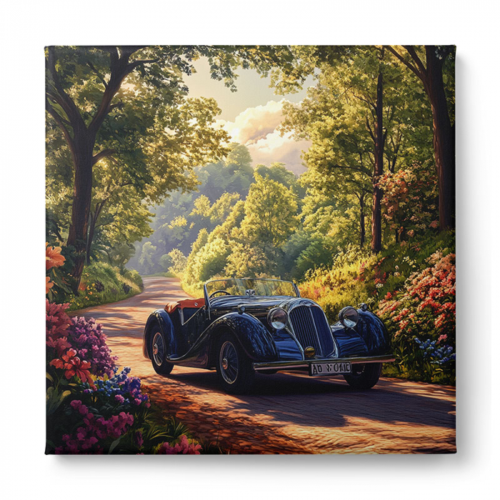 Tablou canvas cu automobil retro pe un drum de poveste [3]