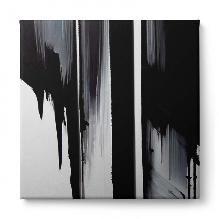 Tablou canvas, abstract, modern, nuante de alb, negru, pentru hol, birou [2]