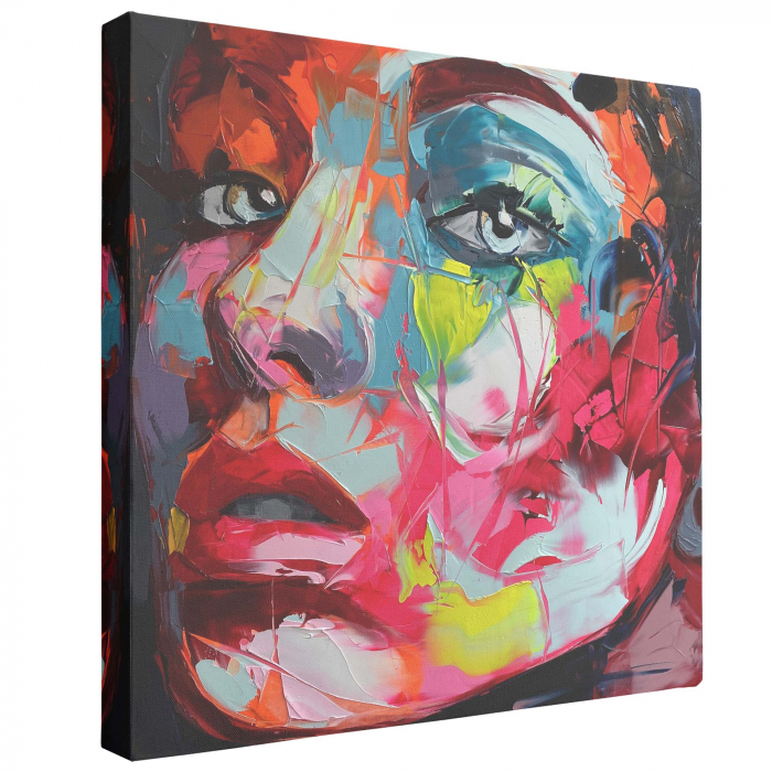 Tablou canvas, abstract, portret, multicolor, pentru sufragerie [2]