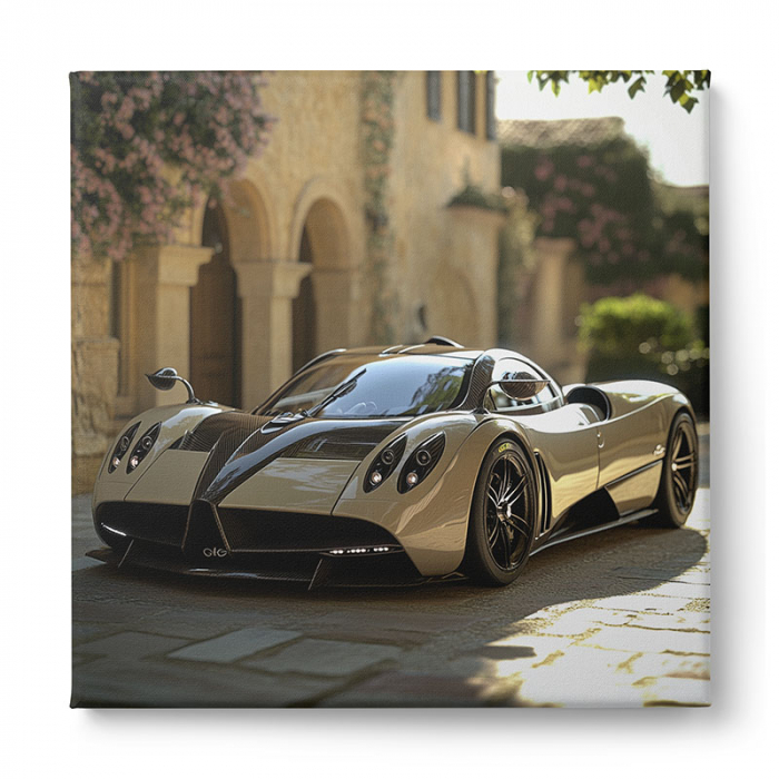 Tablou artistic ce prezintă o super mașină Pagani [2]