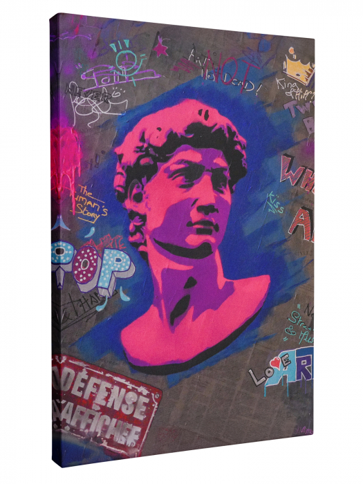 Tablou Canvas David [3]