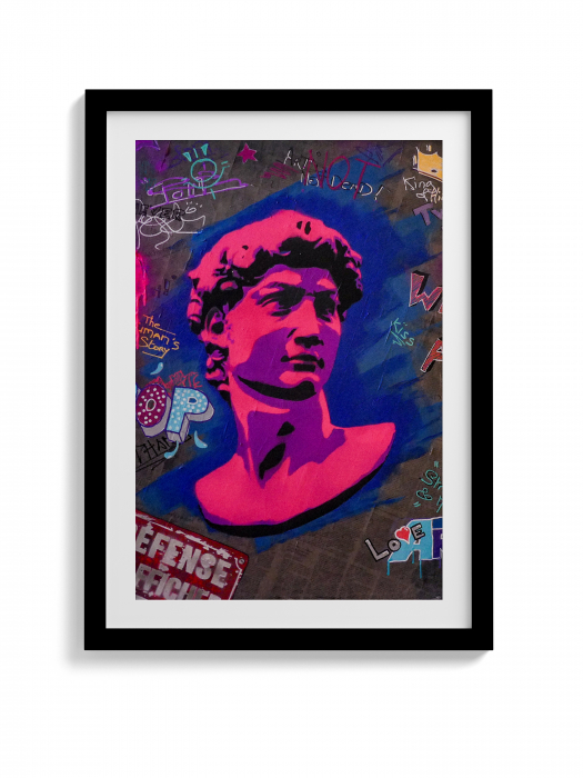 Tablou Canvas David [5]