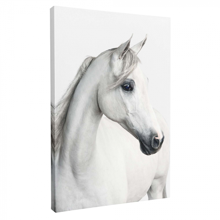 Tablou canvas cu cai, alb, pentru hol, dormitor [2]