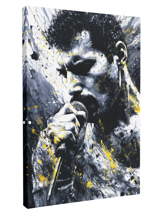 Tablou Canvas Freddie Mercury [2]