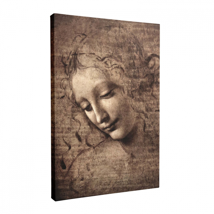 Reinterpretare abstractă a La Scapigliata de Leonardo da Vinci pe canvas. [3]