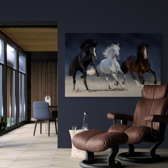 Tablou canvas, cu Cai, elegant, pentru sufragerie [1]