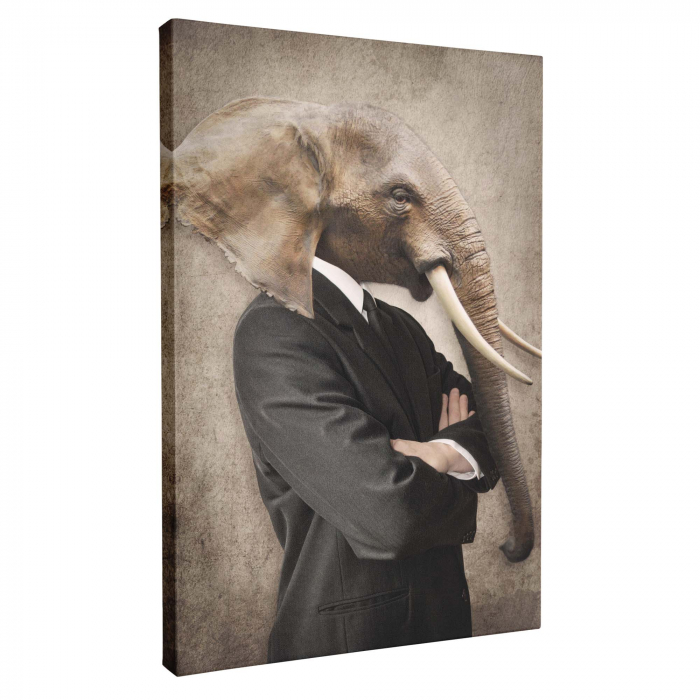 Set 3 tablouri cu animale Leu, Lup, Elefant, pentru living, birou [3]