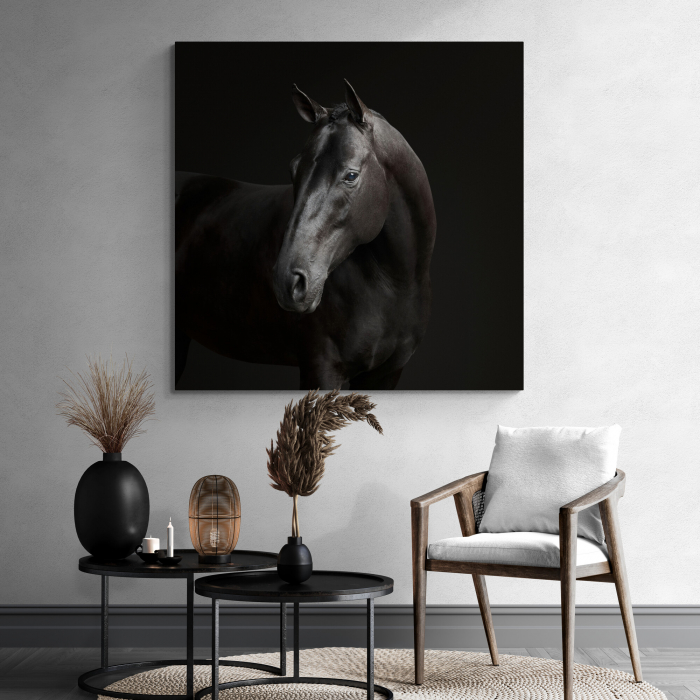 Tablou canvas, modern, Animale, Cal negru, pentru hol, living [1]