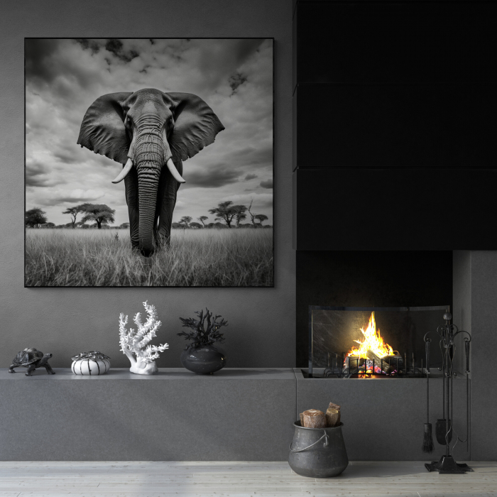 Tablou canvas, modern, Animale, Elefanti, alb negru, pentru hol, living [1]
