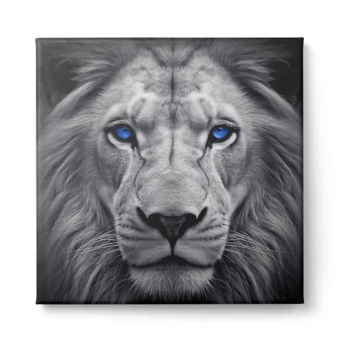Tablou canvas, modern, Animale, Lei, gri pe fundal negru, pentru hol, living [2]