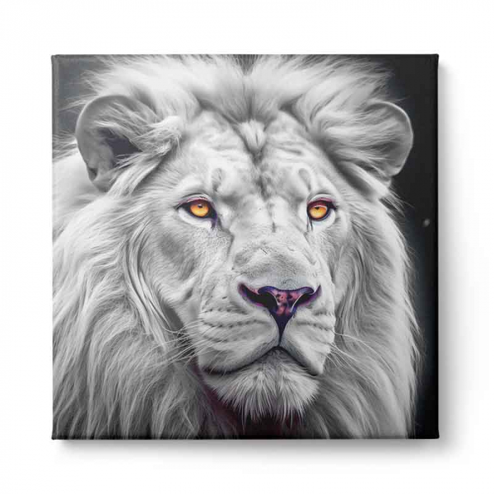 Tablou canvas, modern, Animale, Leu, gri pe fundal negru, pentru hol, dormitor [2]
