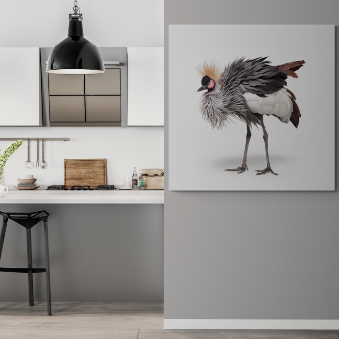 Tablou canvas, modern, Animale, Strut pe fundal alb, pentru hol, bucatarie [1]