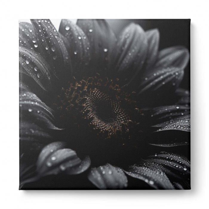 Tablou canvas, modern, cu floare pe fundal negru, pentru living [2]