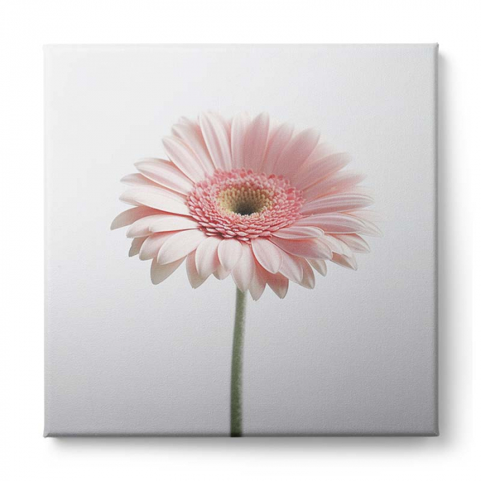 Tablou canvas, modern, cu Floare roz, pentru living [4]