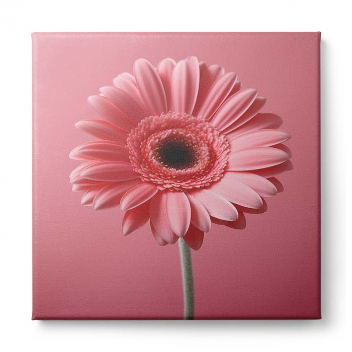 Tablou canvas, modern, cu Floare roz, pentru living [5]