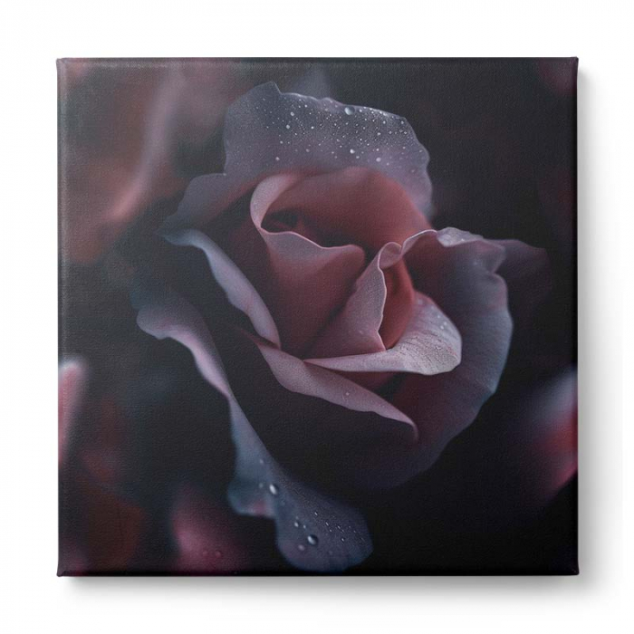 Tablou canvas, modern, cu flori mov pe fundal negru, pentru living [2]