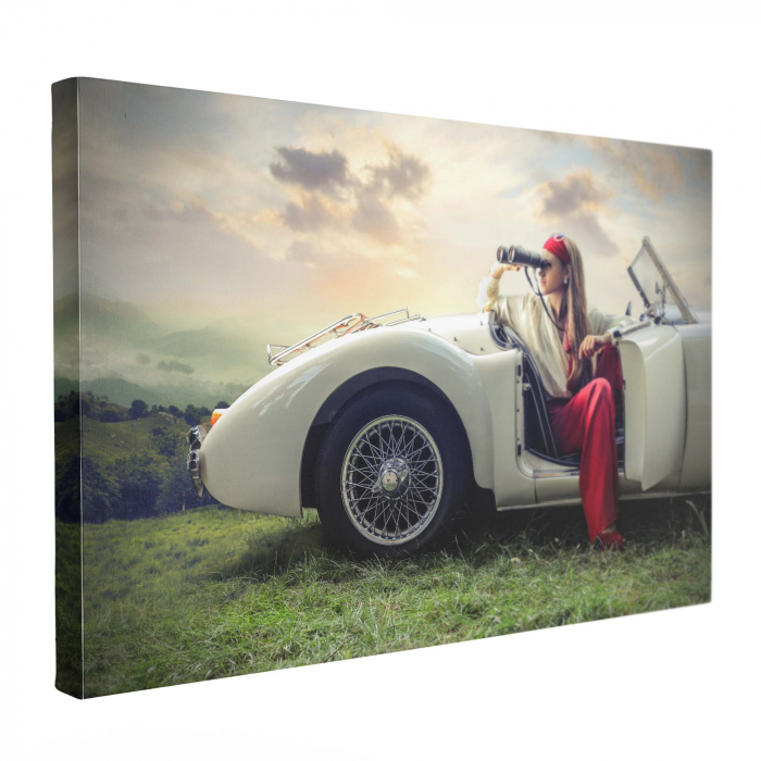 Tablou abstract modern cu mașini pe canvas pentru living [2]