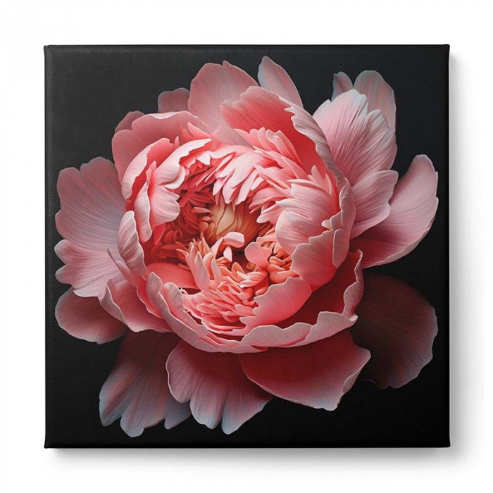 Tablou canvas, modern, Floare de bujor roz, pe fundal negru, pentru hol, dormitor [2]