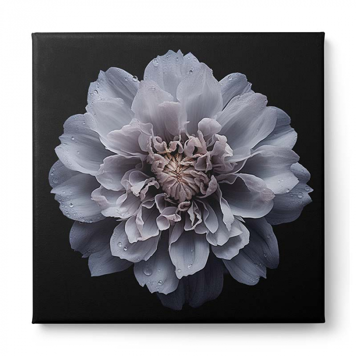 Tablou canvas, modern, Floare lila pe fundal negru, pentru living, hol [2]