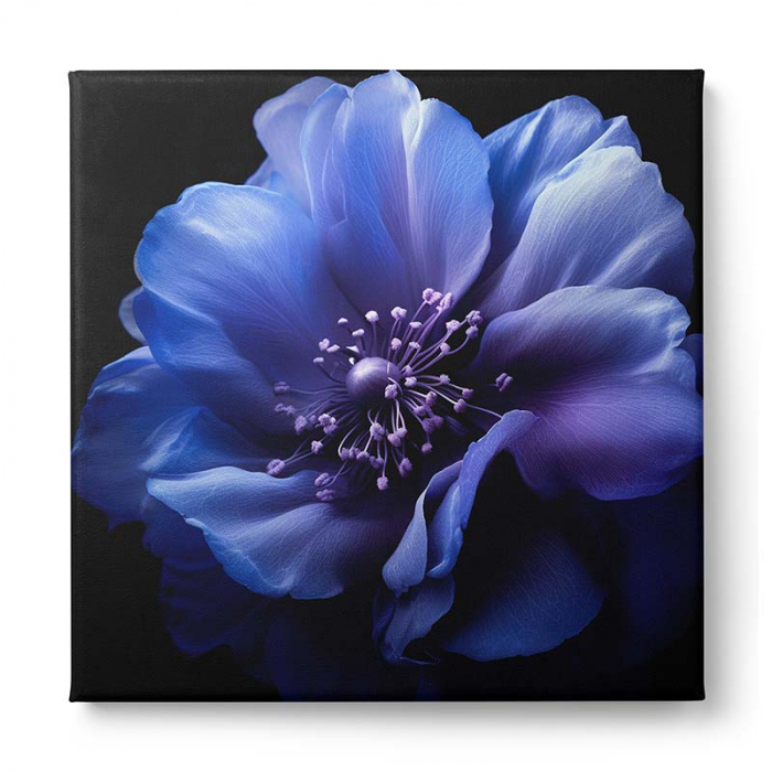 Tablou canvas, modern, Floare mov pe fundal negru, pentru living, hol [2]