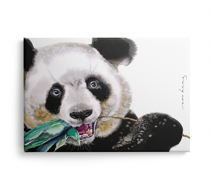 Tablou canvas, modern, urs panda ,pentru dormitor [1]