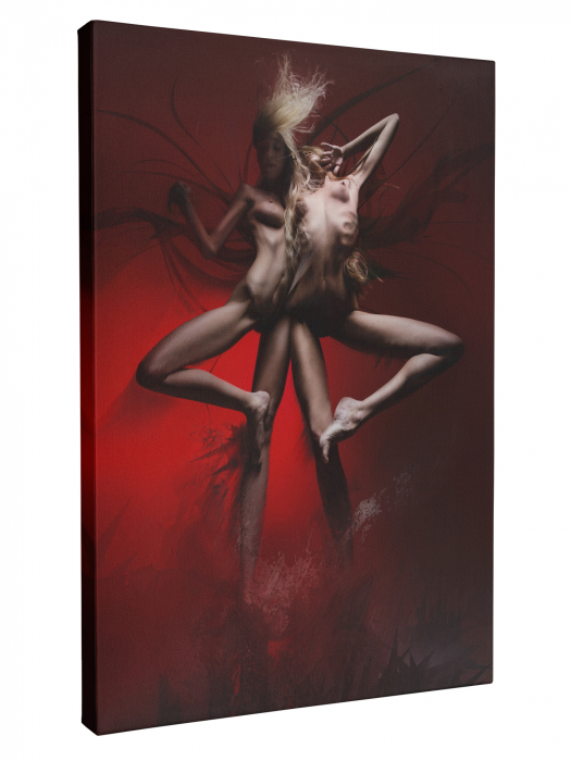 Tablou Canvas Nud Feminin [2]