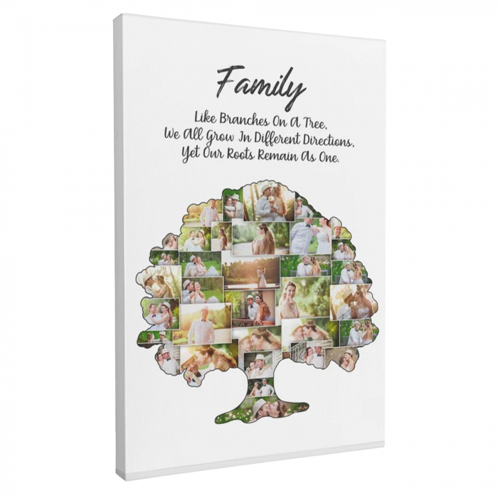 Cadou pentru familie [2]