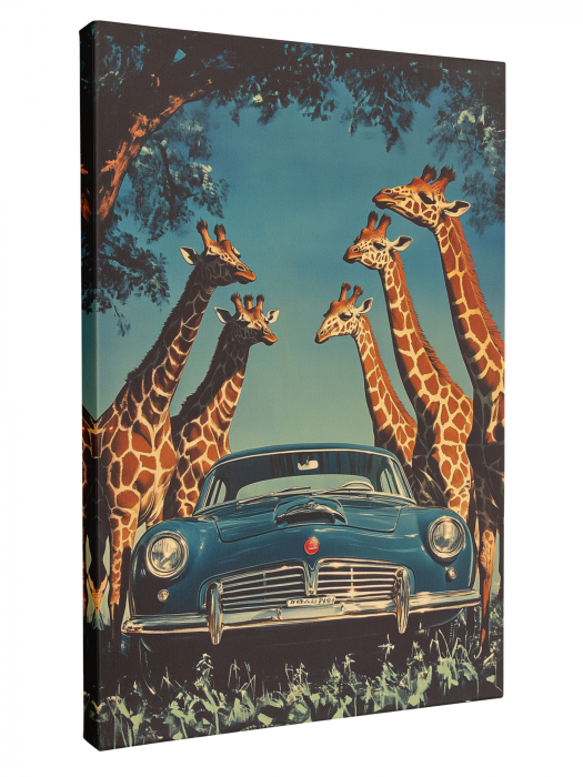 Tablou canvas artistic cu o mașină clasică înconjurată de girafe în savană [2]