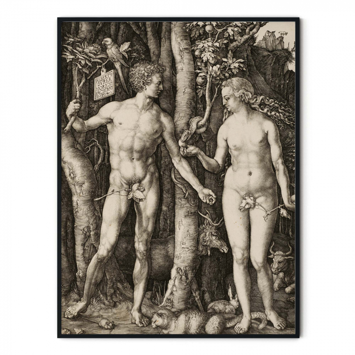 Tablou decorativ, Intaglio, alb negru, Clasic, print pe hartie foto Fine Art, Adam and Eve de Albrecht Durer [3]