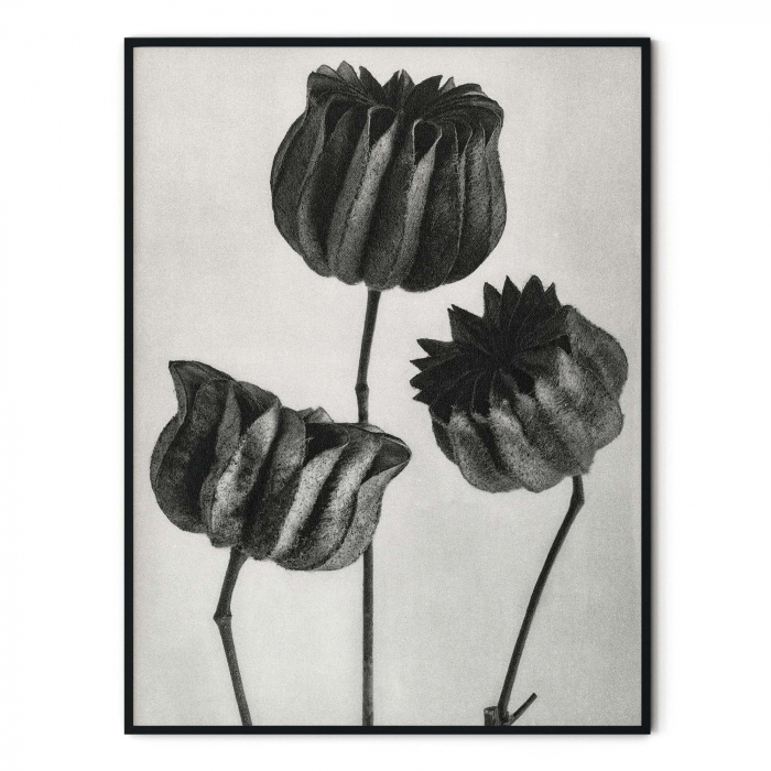 Tablou decorativ, Intaglio, Modern, alb negru, Flori ornamentale, print pe hartie foto Fine Art, neinramat, pentru living, birou [3]