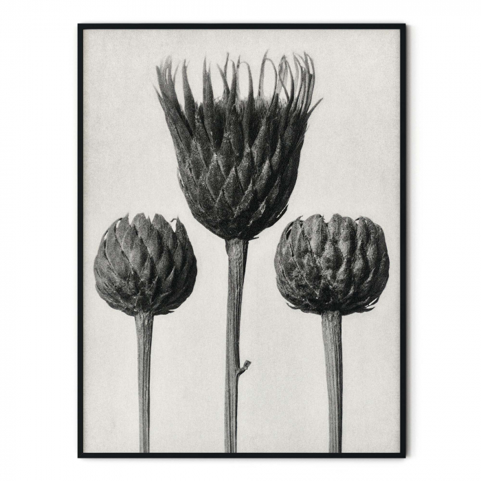Tablou decorativ, Intaglio, Modern, alb negru, Flori ornamentale, print pe hartie foto Fine Art, neinramat, pentru living, birou, hol [3]