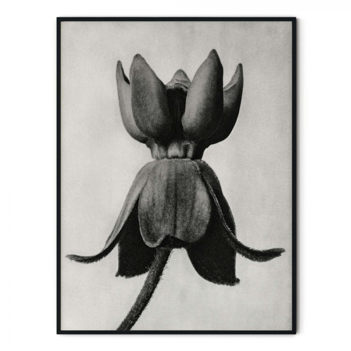 Tablou decorativ, Intaglio, Modern, alb negru, Flori ornamentale, print pe hartie foto Fine Art, neinramat, pentru living, birou, hol [2]