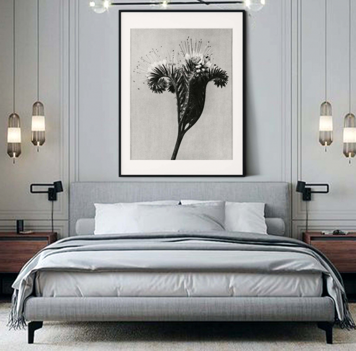 Tablou decorativ, Intaglio, Modern, alb negru, Flori ornamentale, print pe hartie foto Fine Art, neinramat, pentru dormitor, baie, hol [1]