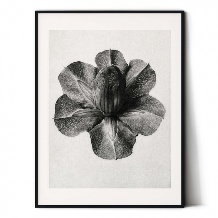 Tablou decorativ, Intaglio, Modern, alb negru, Flori ornamentale, print pe hartie foto Fine Art, neinramat, pentru living, birou [2]