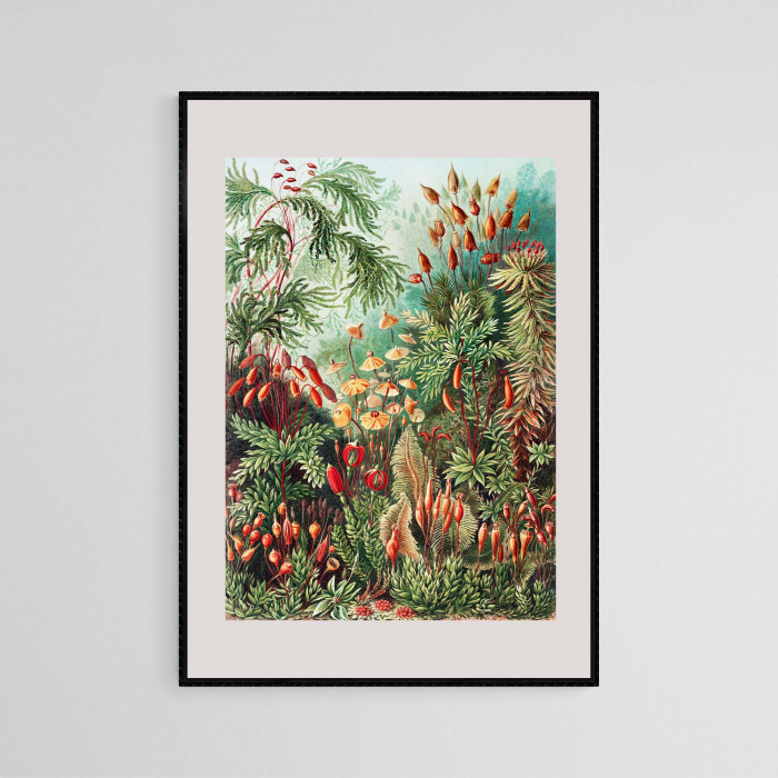 Flori colorate abstracte, print modern pe hârtie Fine Art. [3]