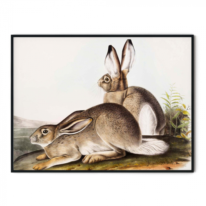 Print modern cu iepuri maro pe hartie foto Fine Art pentru bucătărie [2]