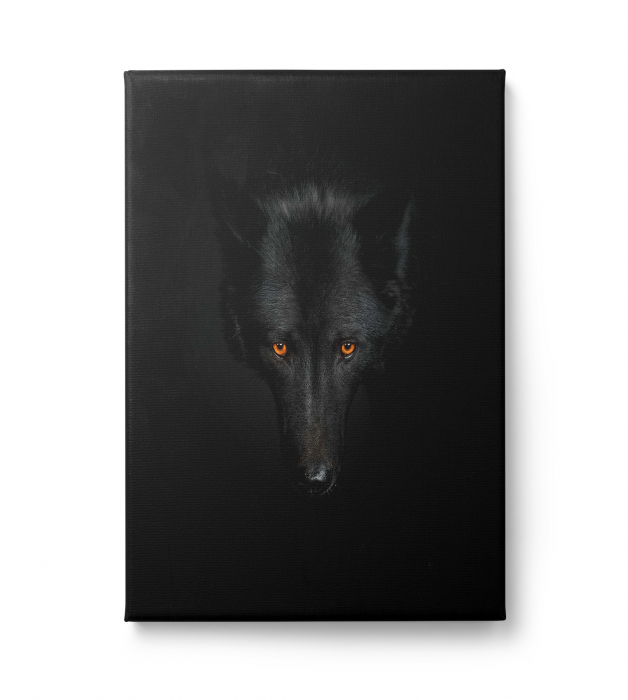 Tablou decorativ, Modern, Animale, Lup negru, pentru hotel [2]