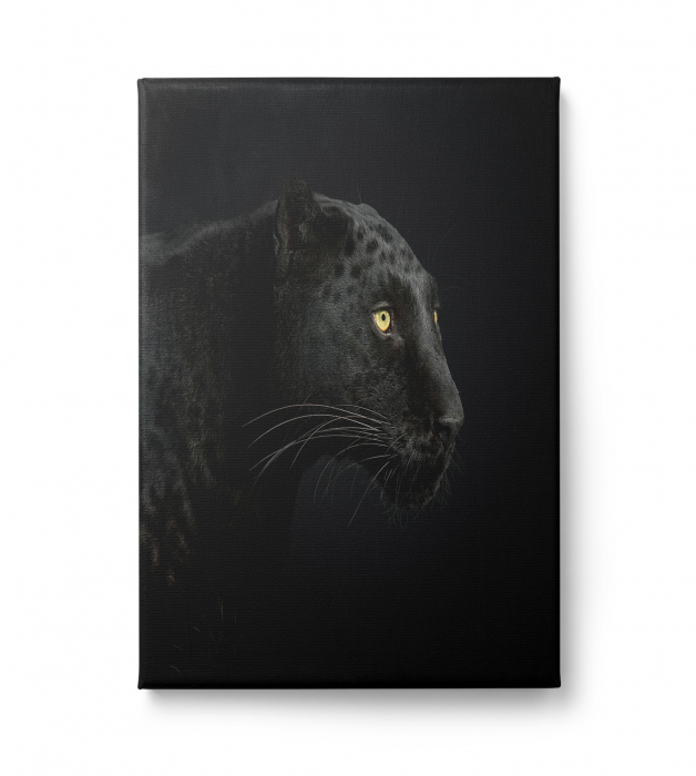 Tablou decorativ, Modern, Animale, Pantera neagra, pentru living [2]