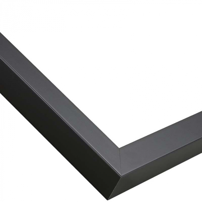 Cadou pentru constructor [6]