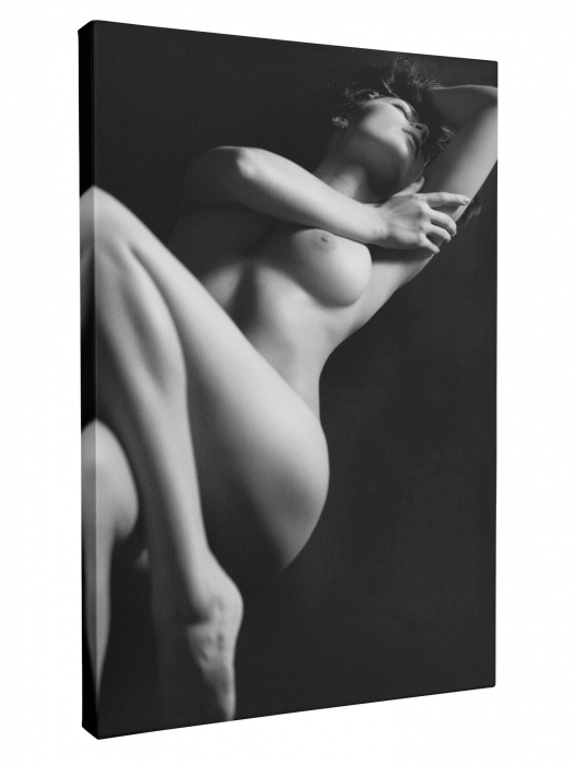 Tablou Canvas Nud Feminin [2]
