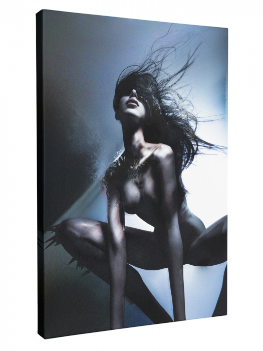 Tablou Canvas Nud [2]