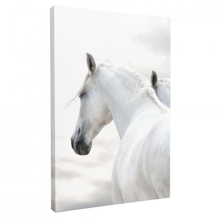 Set 3 tablouri elegant cu Cai, pentru living [7]