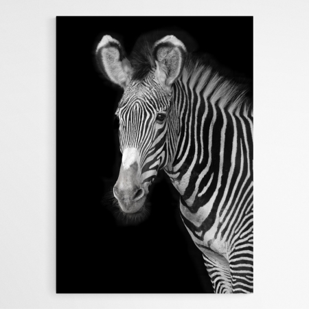 Set 3 tablouri, Intaglio, Stil Abstracte, print pe hartie foto Fine Art, Gri, Animale, postere portret animale salbatice, pentru camera living [4]