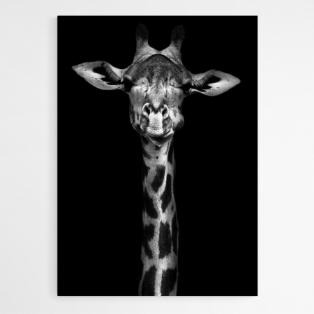 Set 3 tablouri, Intaglio, Stil Abstracte, print pe hartie foto Fine Art, Gri, Animale, postere portret animale salbatice, pentru camera living [3]