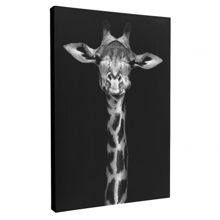 Set 3 tablouri, Intaglio, Stil Abstracte, print pe hartie foto Fine Art, Gri, Animale, postere portret animale salbatice, pentru camera living [6]