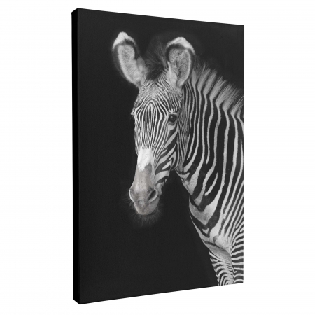 Set 3 tablouri, Intaglio, Stil Abstracte, print pe hartie foto Fine Art, Gri, Animale, postere portret animale salbatice, pentru camera living [7]